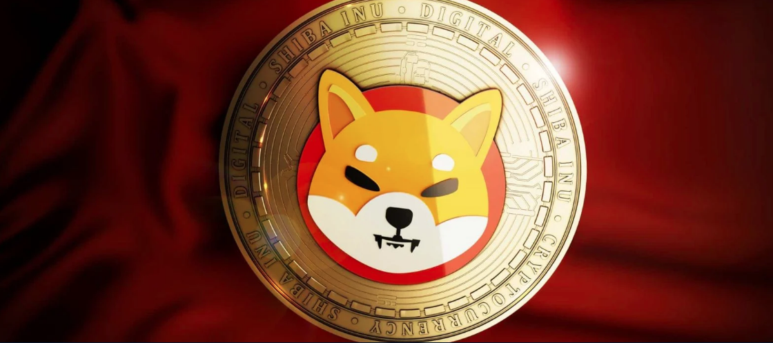 Shiba Inu coin graphic